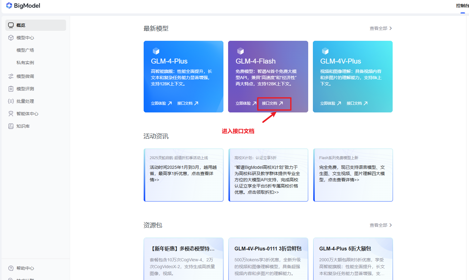 智谱api概览首页